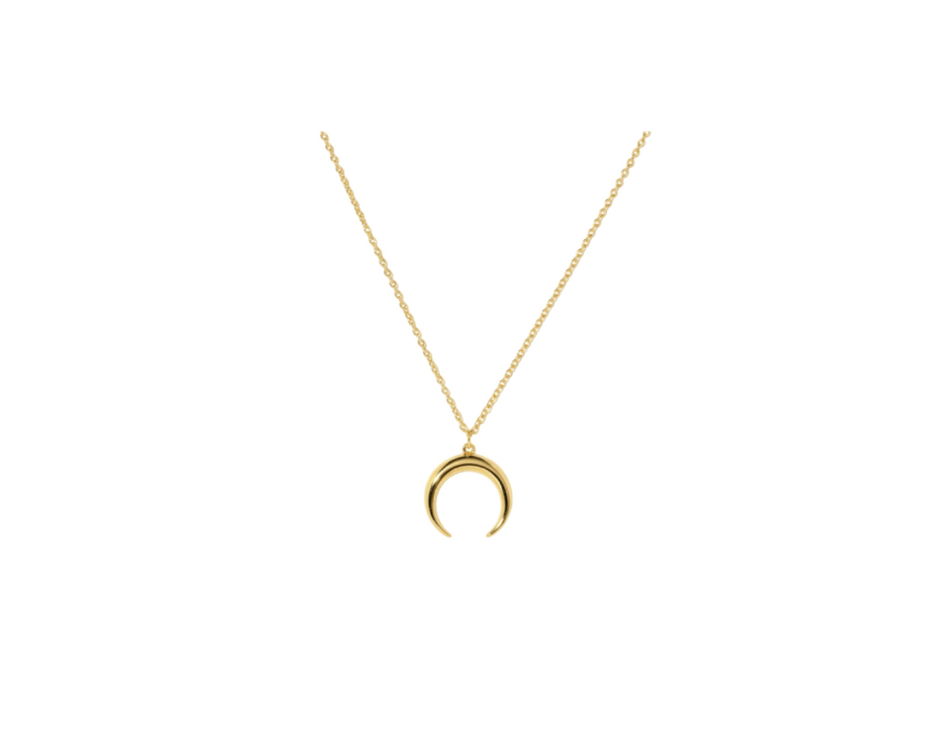 Luna Arc Crescent Necklace