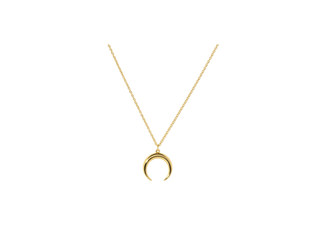 Luna Arc Crescent Necklace