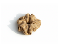 Soft beige velvet scrunchie on white background